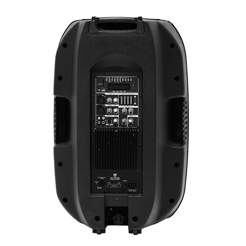 Powered speaker 150W 8 'USB / SD IBIZA SOUND BT8A